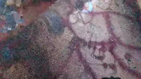 Snapshot of dwadek081704 chatting on November 2, 2025, 2:52 pm dwadek081704 online show from November 2, 2025, 2:52 pm