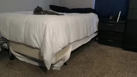 Snapshot of dwhitey4u chatting on November 2, 2025, 8:00 pm dwhitey4u online show from November 2, 2025, 8:00 pm