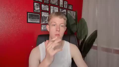 Dylan online show from July 14, 2026, 10:54 am
