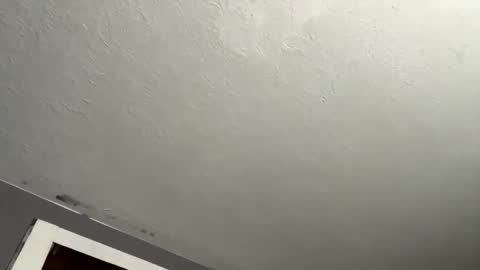 Snapshot of dynasty801 chatting on November 27, 2025, 8:05 am nastyboi801 online show from November 27, 2025, 8:05 am