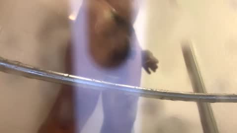 Snapshot of easternjerk chatting on October 20, 2025, 12:00 am easternjerk online show from October 20, 2025, 12:00 am