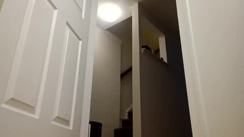 Snapshot of easternjerk chatting on December 16, 2025, 11:04 am easternjerk online show from December 16, 2025, 11:04 am