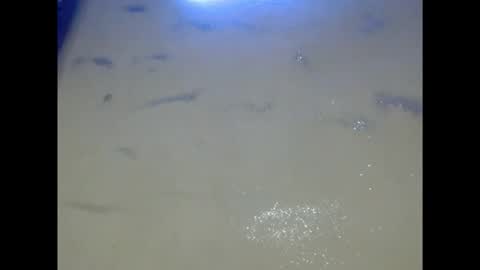 Snapshot of eatuupx chatting on December 5, 2025, 9:18 am eatuupx online show from December 5, 2025, 9:18 am