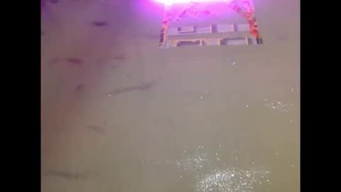 Snapshot of eatuupx chatting on December 19, 2025, 3:41 pm eatuupx online show from December 19, 2025, 3:41 pm