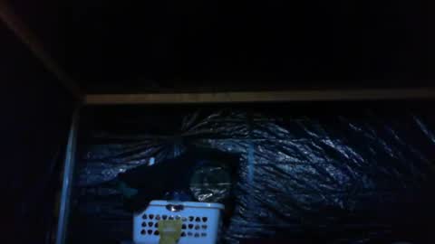 Snapshot of ebear1 chatting on February 27, 2025, 9:36 pm ebear1 online show from February 27, 2025, 9:36 pm