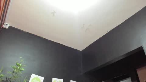 ebony_katterin online show from January 18, 2025, 11:11 am