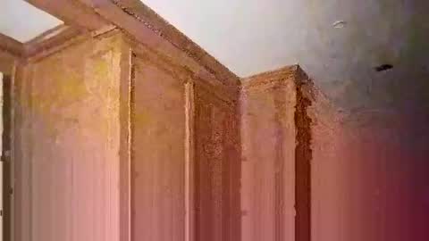 eboy4sale online show from January 25, 2025, 10:40 am