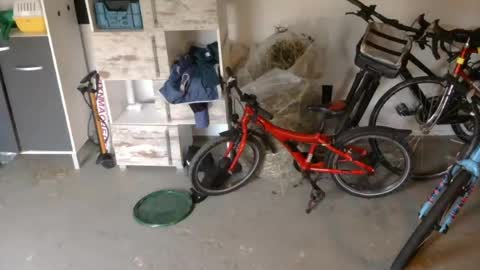 edelholz87 online show from July 16, 2026, 6:47 pm