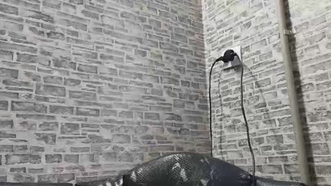 edithmanning online show from February 10, 2025, 12:29 pm