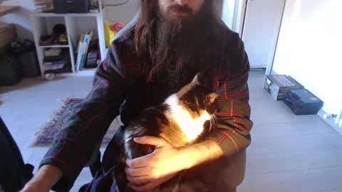 eighthundredeightyeight online show from January 12, 2026, 11:04 am