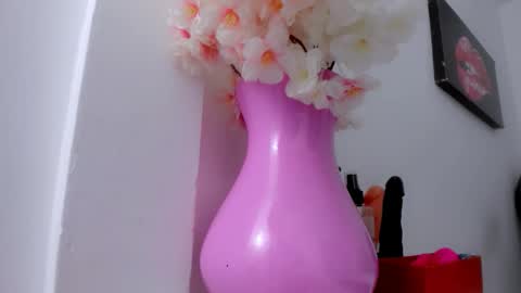 Snapshot of eimy_skinny chatting on January 18, 2026, 1:04 pm eimy online show from January 18, 2026, 1:04 pm