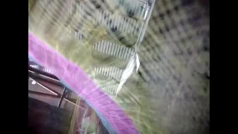 Snapshot of eirma7991 chatting on February 25, 2026, 10:30 pm eirma7991 online show from February 25, 2026, 10:30 pm