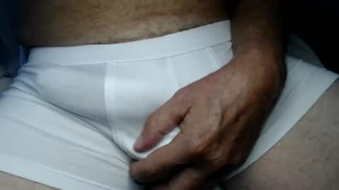 el gato lusty online show from July 30, 2026, 11:20 am
