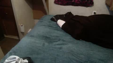 ElegantDeviance69 online show from December 19, 2024, 1:18 pm