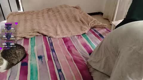 Elektra and Konan online show from November 28, 2025, 1:25 pm