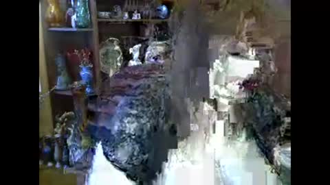 ElenaZed online show from February 10, 2026, 9:13 am