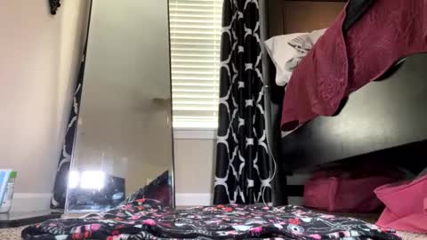 Snapshot of elenore_hoesevelt chatting on September 11, 2025, 4:51 pm Elenore Hoesevelt online show from September 11, 2025, 4:51 pm