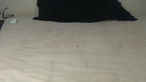 Snapshot of elgsslt chatting on October 20, 2025, 10:49 am elgsslt online show from October 20, 2025, 10:49 am