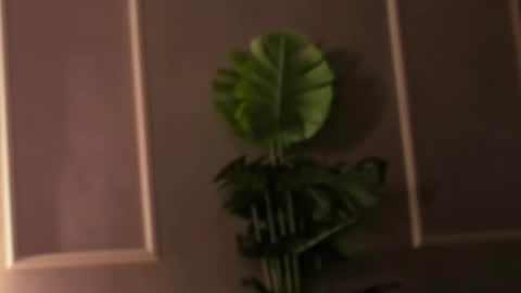 Eli online show from February 18, 2025, 4:48 pm