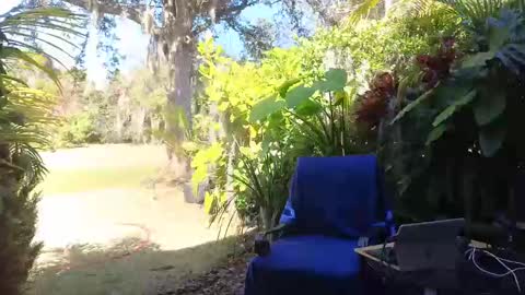 Snapshot of eliberator chatting on February 9, 2025, 7:52 pm eliberator online show from February 9, 2025, 7:52 pm