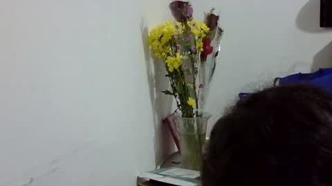 Elizabeth Martinez  online show from March 12, 2026, 7:09 pm