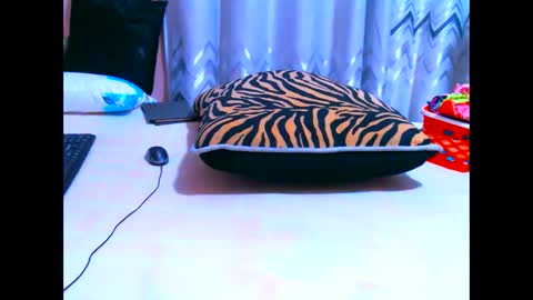 elodielynn online show from May 19, 2026, 4:41 am