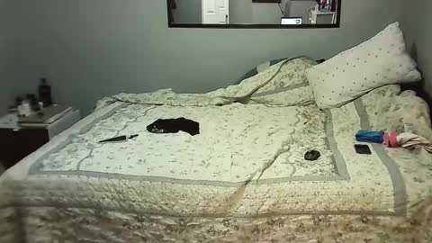 Elpouro online show from November 8, 2025, 8:25 am