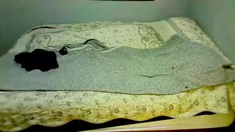 Snapshot of elpouto chatting on March 7, 2026, 10:01 am Elpouro online show from March 7, 2026, 10:01 am