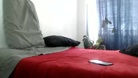 elputoquetegusta online show from January 12, 2025, 5:33 pm