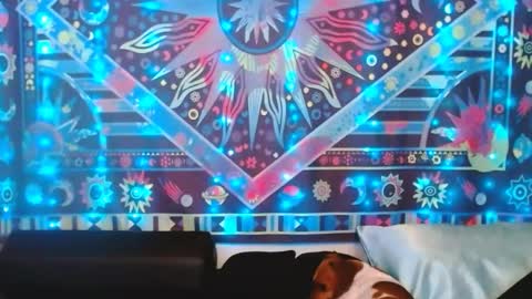 Ember Starleena online show from February 24, 2025, 5:31 pm