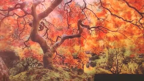 Ember Starleena online show from September 29, 2025, 1:16 pm