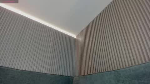 Snapshot of emelie_89 chatting on January 7, 2026, 11:34 am emelie_89 online show from January 7, 2026, 11:34 am