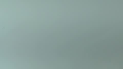 emi_rousse online show from May 19, 2026, 11:49 am