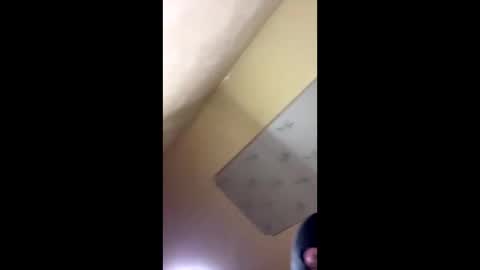 Emily online show from October 14, 2025, 8:20 pm