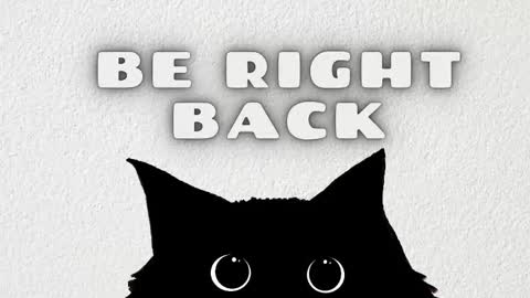 Snapshot of emily_evol chatting on February 8, 2026, 11:35 am emily_evol online show from February 8, 2026, 11:35 am