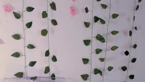 Emily online show from February 2, 2025, 3:10 am