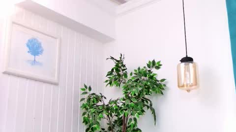 Snapshot of emilycolle_ chatting on March 3, 2026, 8:04 pm Emily online show from March 3, 2026, 8:04 pm