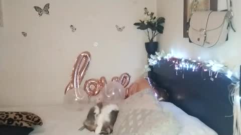 Snapshot of emilywhitee_ chatting on November 25, 2025, 2:33 am Valentina independent model online show from November 25, 2025, 2:33 am