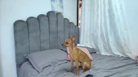 Snapshot of emma_saenz01 chatting on February 12, 2026, 8:37 pm emma_saenz01 online show from February 12, 2026, 8:37 pm