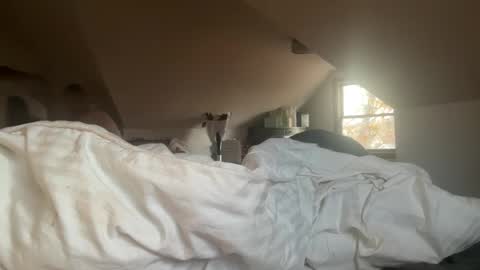 EmmaAngel online show from November 16, 2025, 8:58 pm