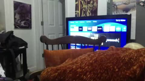 Snapshot of empusalamia chatting on January 25, 2025, 9:57 am empusalamia online show from January 25, 2025, 9:57 am