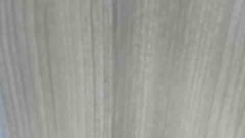 emycarver09 online show from February 1, 2026, 11:31 am