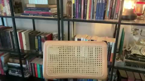 Snapshot of entreporneur chatting on October 29, 2025, 5:04 pm FOLLOW JOIN MY CULT online show from October 29, 2025, 5:04 pm