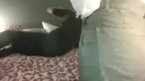 Snapshot of ericstephcam31 chatting on February 28, 2025, 10:06 pm Steph et Eric online show from February 28, 2025, 10:06 pm