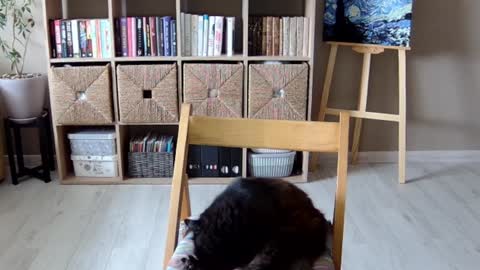 Snapshot of erotic_vibe chatting on October 1, 2025, 11:49 am Melissa online show from October 1, 2025, 11:49 am