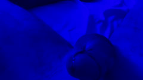 Snapshot of espltd0666 chatting on April 13, 2026, 6:52 am Chpala online show from April 13, 2026, 6:52 am