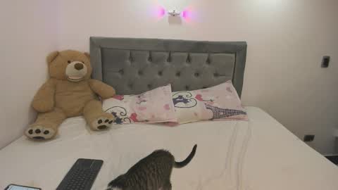 estehefany_gil online show from January 8, 2026, 1:08 am