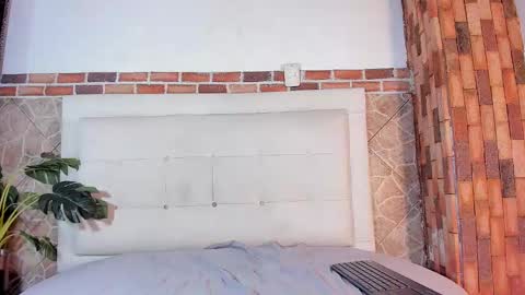 Snapshot of ethan_helmut chatting on January 10, 2025, 5:24 pm ethan helmut online show from January 10, 2025, 5:24 pm