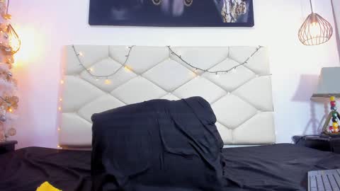 Snapshot of ethan_helmut chatting on January 13, 2025, 2:11 pm ethan helmut online show from January 13, 2025, 2:11 pm