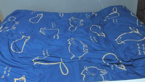 Eva online show from February 7, 2025, 2:04 pm